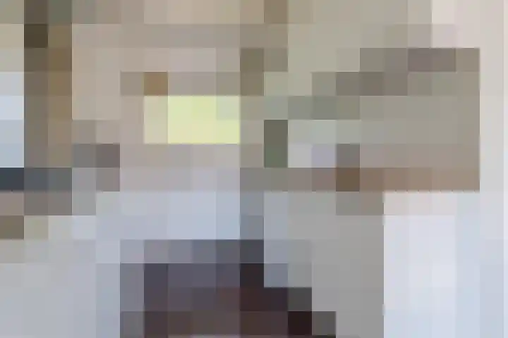 Mr. G. Groen van Prinstererlaan 161 Amstelveen thumbnail 15