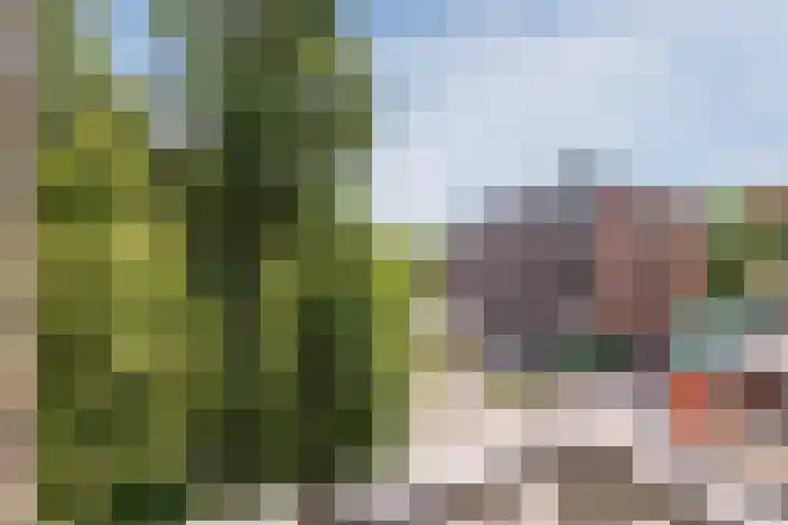 Mr. G. Groen van Prinstererlaan 161 Amstelveen thumbnail 25