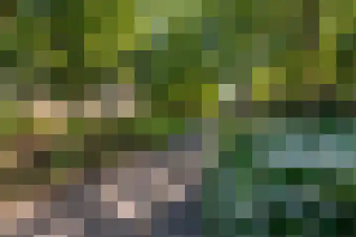 Mr. G. Groen van Prinstererlaan 161 Amstelveen thumbnail 26