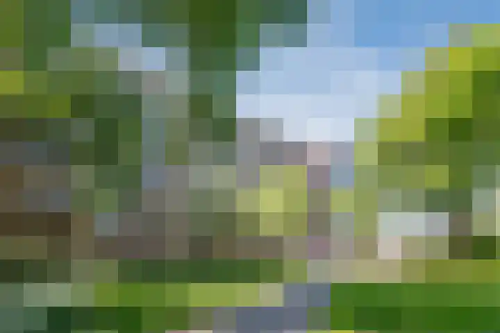 Mr. G. Groen van Prinstererlaan 161 Amstelveen thumbnail 27