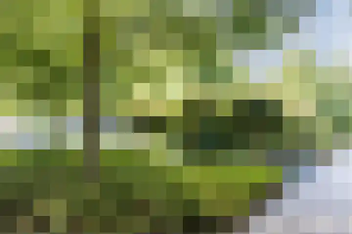 Mr. G. Groen van Prinstererlaan 173 Amstelveen thumbnail 26