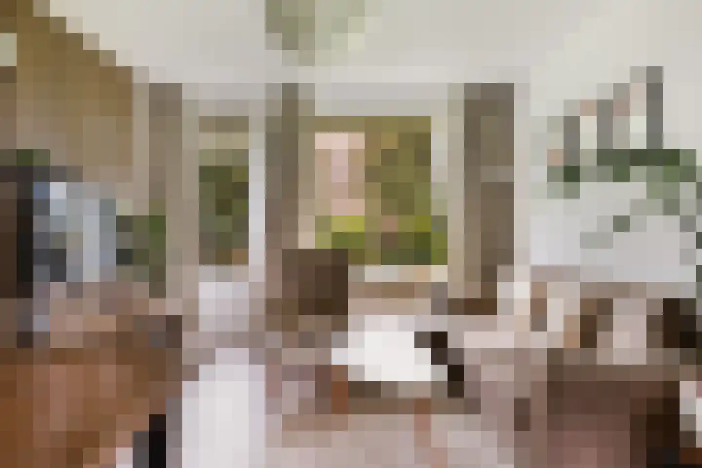 Mr. G. Groen van Prinstererlaan 187 Amstelveen thumbnail 10