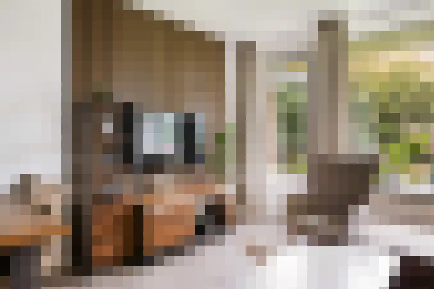 Mr. G. Groen van Prinstererlaan 187 Amstelveen thumbnail 13