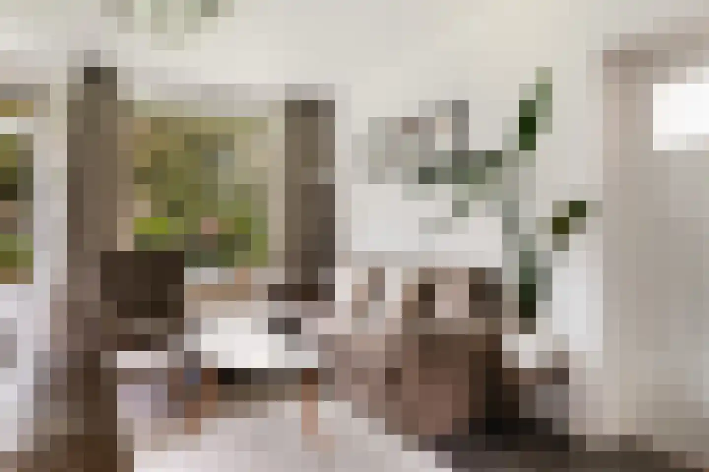 Mr. G. Groen van Prinstererlaan 187 Amstelveen thumbnail 14