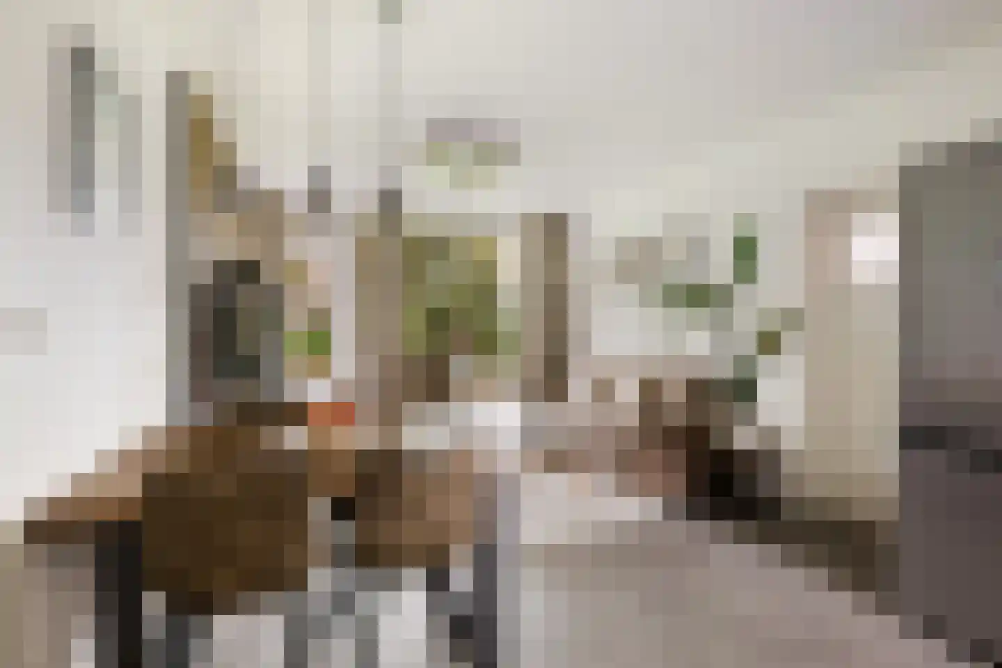 Mr. G. Groen van Prinstererlaan 187 Amstelveen thumbnail 16