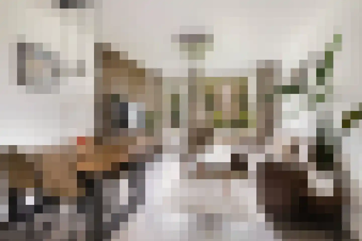 Mr. G. Groen van Prinstererlaan 187 Amstelveen thumbnail 17
