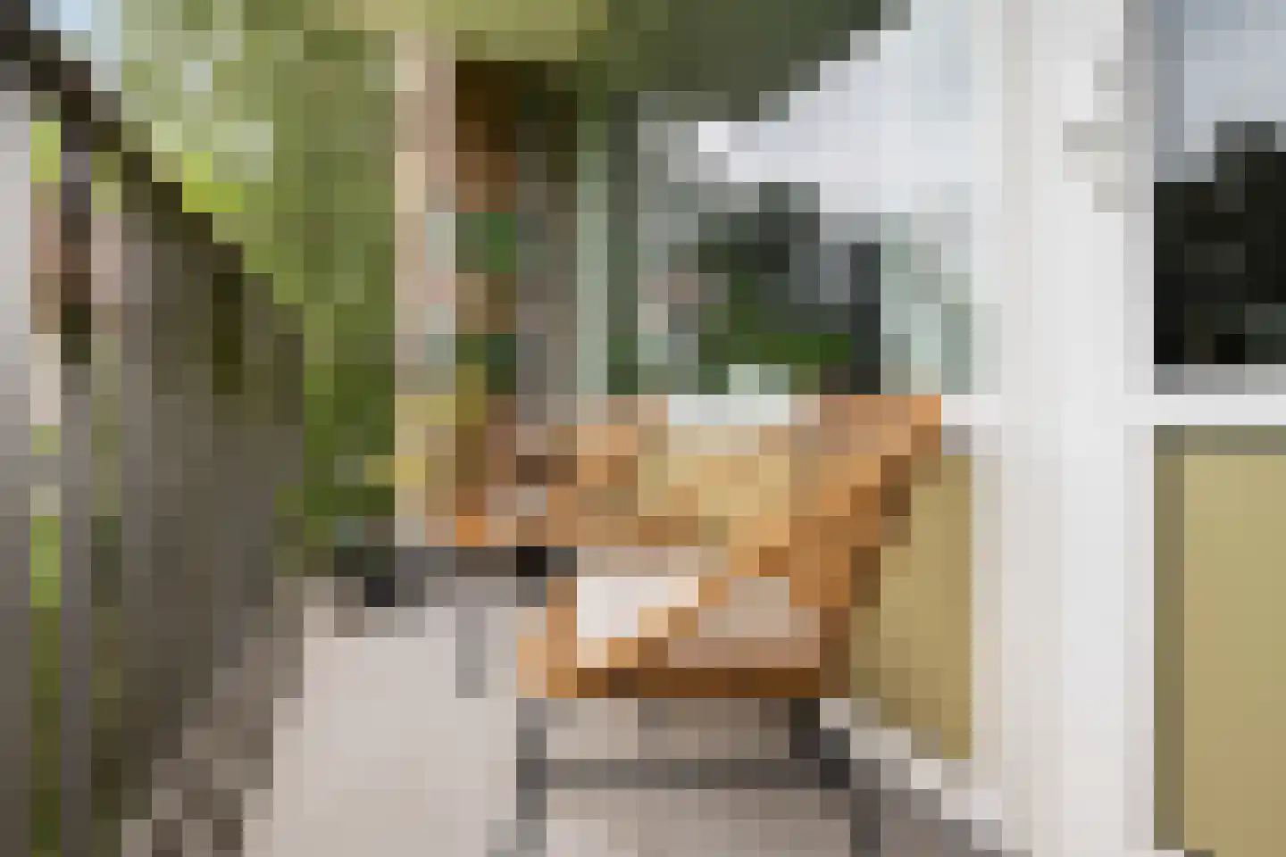 Mr. G. Groen van Prinstererlaan 187 Amstelveen thumbnail 23