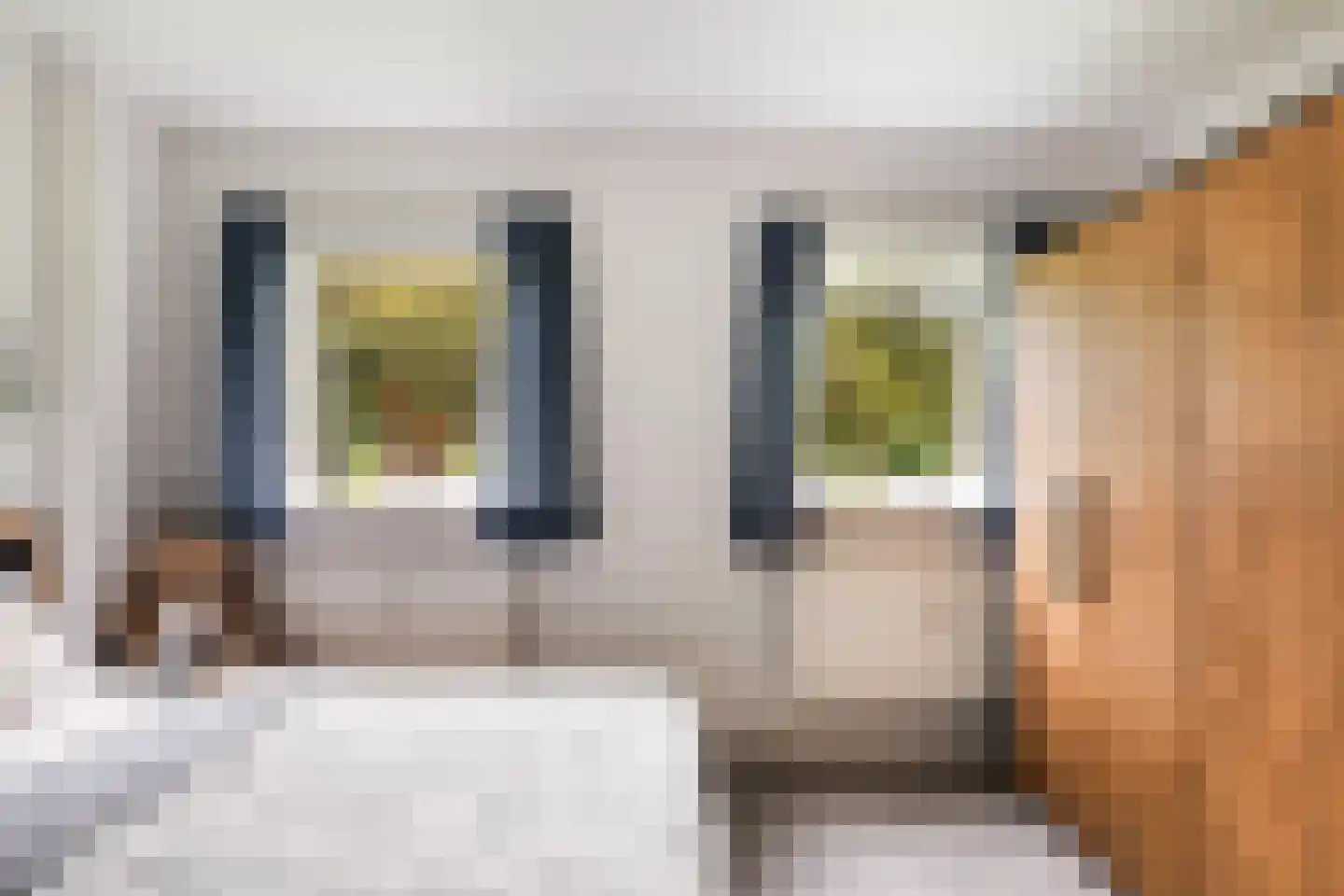 Mr. G. Groen van Prinstererlaan 187 Amstelveen thumbnail 29