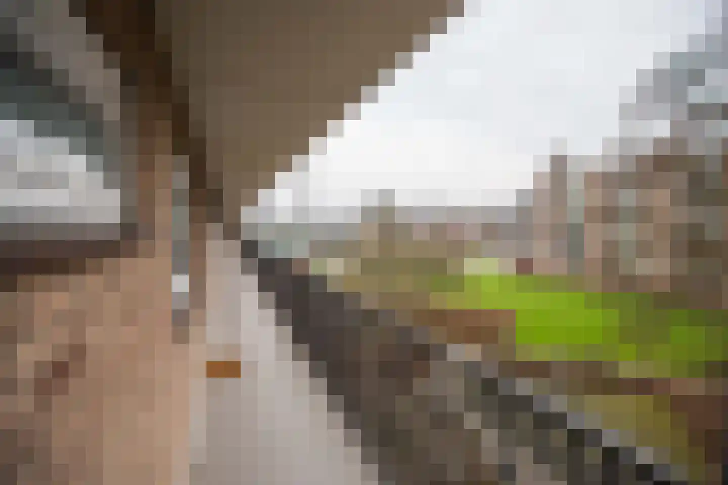 Mr. G. Groen van Prinstererlaan 221 Amstelveen thumbnail 26