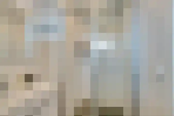 Mr. G. Groen van Prinstererlaan 251 Amstelveen thumbnail 22