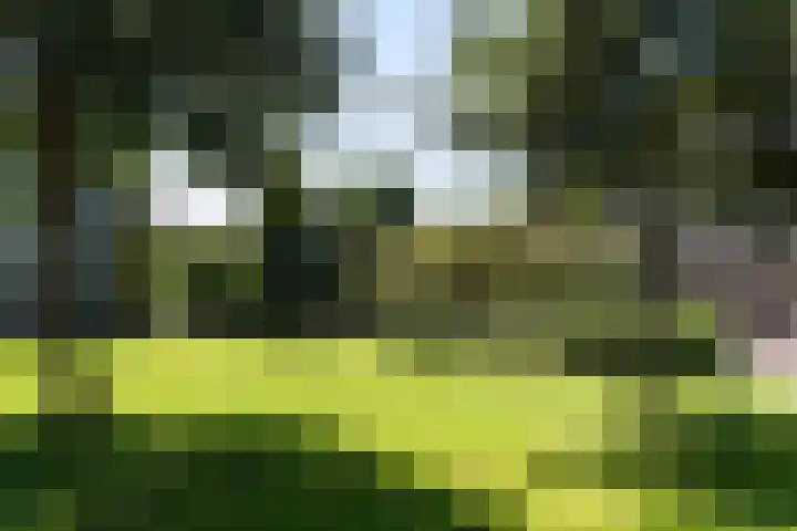 Mr. G. Groen van Prinstererlaan 251 Amstelveen thumbnail 26