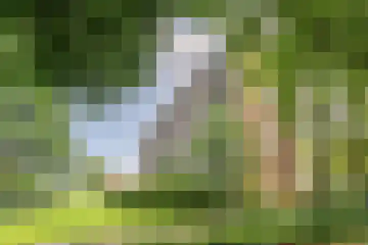 Mr. G. Groen van Prinstererlaan 279 Amstelveen thumbnail 21