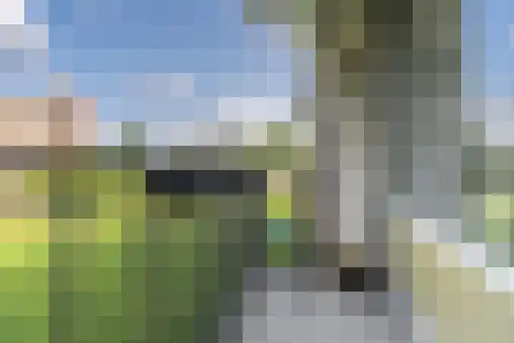 Mr. G. Groen van Prinstererlaan 279 Amstelveen thumbnail 6