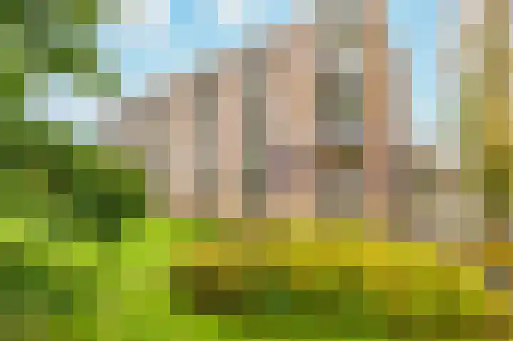 Mr. G. Groen van Prinstererlaan 281 Amstelveen thumbnail 4