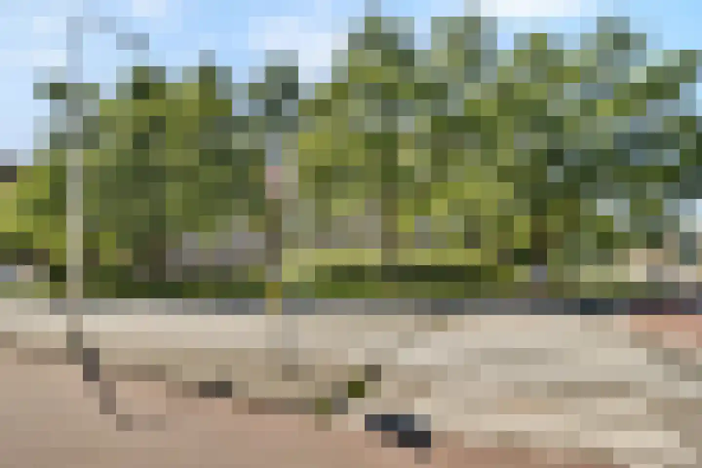 Mr. G. Groen van Prinstererlaan 285 Amstelveen thumbnail 16
