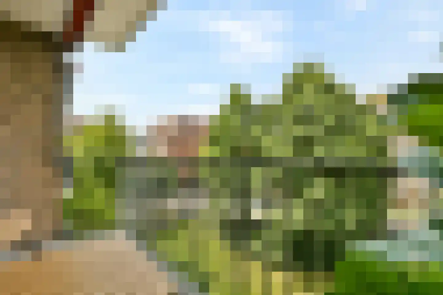 Mr. G. Groen van Prinstererlaan 301 Amstelveen thumbnail 13