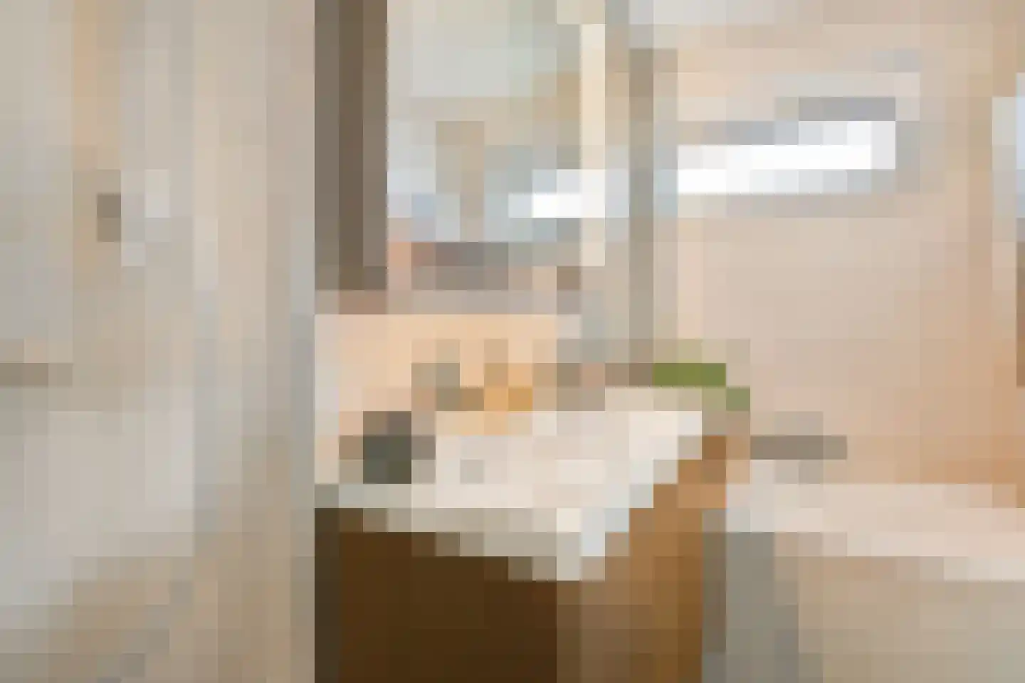 Mr. G. Groen van Prinstererlaan 301 Amstelveen thumbnail 20