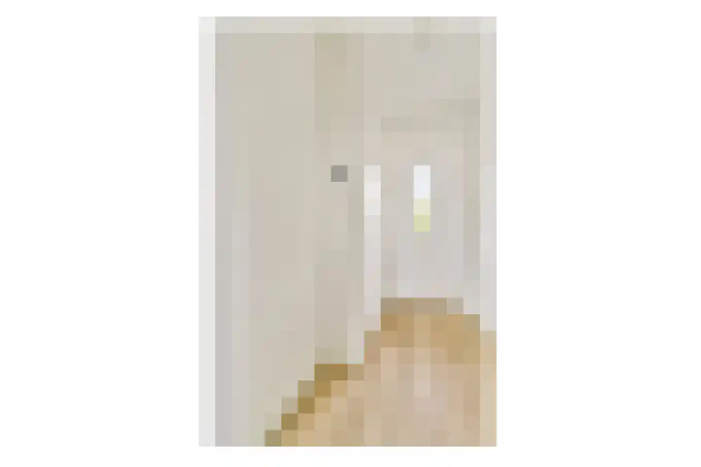 Mr. G. Groen van Prinstererlaan 301 Amstelveen thumbnail 23