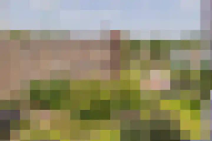 Mr. G. Groen van Prinstererlaan 323 Amstelveen thumbnail 19