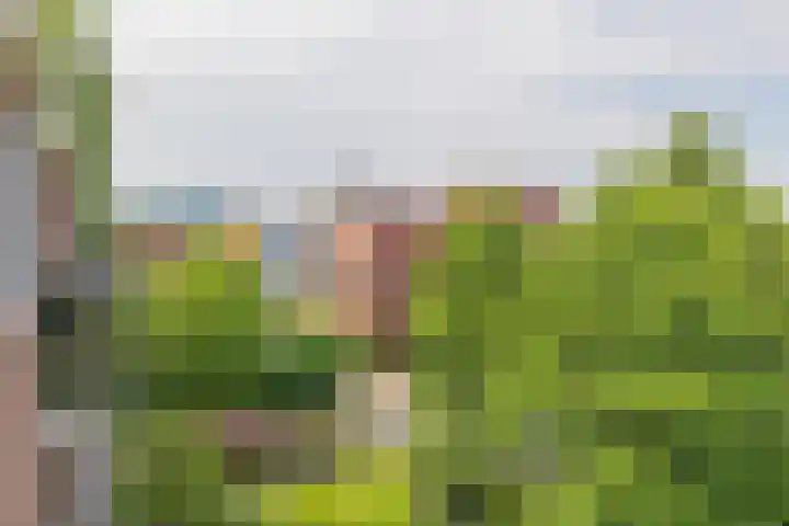 Mr. G. Groen van Prinstererlaan 323 Amstelveen thumbnail 20