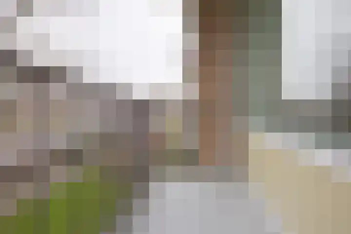 Mr. G. Groen van Prinstererlaan 339 Amstelveen thumbnail 11