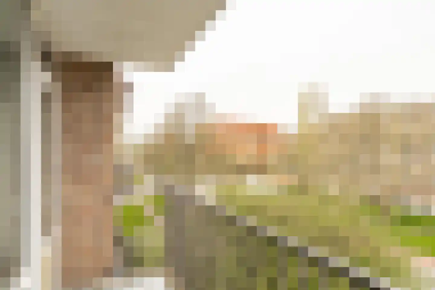 Mr. G. Groen van Prinstererlaan 355 Amstelveen thumbnail 13