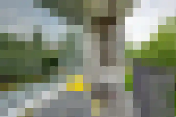 Mr. G. Groen van Prinstererlaan 357 Amstelveen thumbnail 14