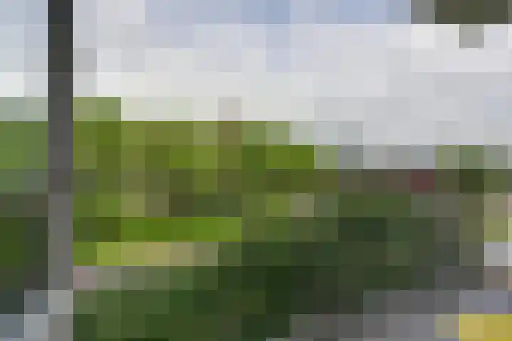 Mr. G. Groen van Prinstererlaan 357 Amstelveen thumbnail 4