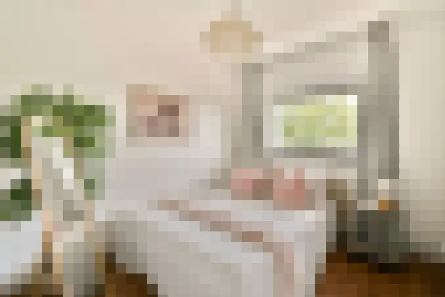 Mr. G. Groen van Prinstererlaan 401 Amstelveen thumbnail 10