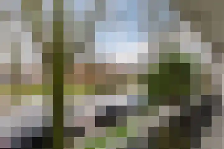 Mr. G. Groen van Prinstererlaan 61 Amstelveen thumbnail 27