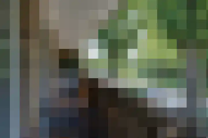 Mr. G. Groen van Prinstererlaan 69 Amstelveen thumbnail 13