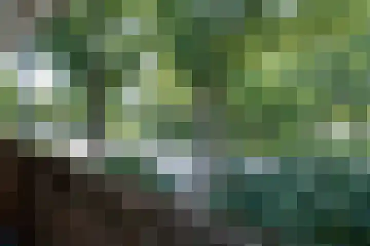 Mr. G. Groen van Prinstererlaan 69 Amstelveen thumbnail 14
