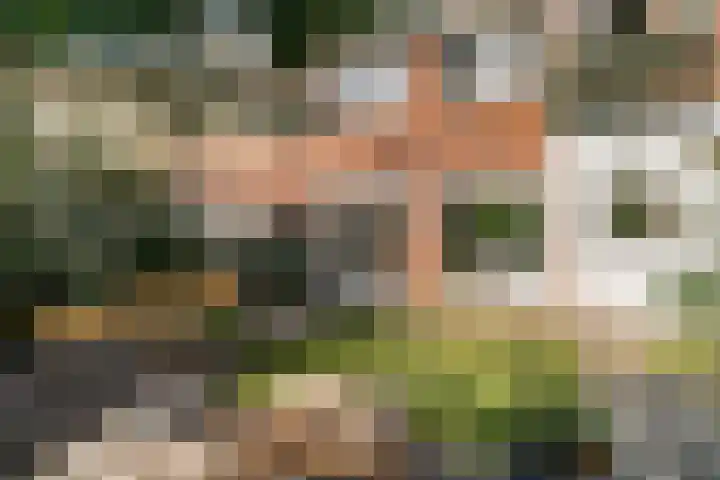 Mr. G. Groen van Prinstererlaan 79 Amstelveen thumbnail 26
