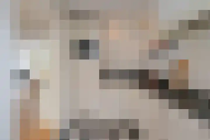 Mr. G.J. ter Kuilelaan 13 Almelo thumbnail 14