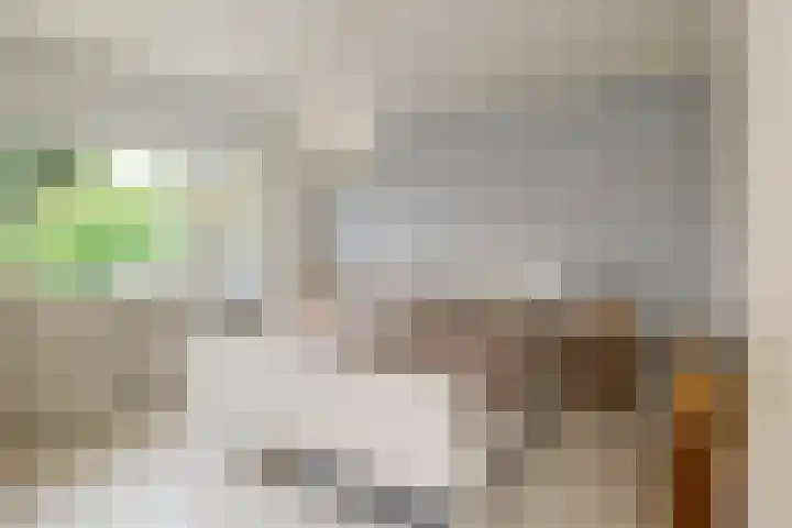 Mr. G.J. ter Kuilelaan 13 Almelo thumbnail 16