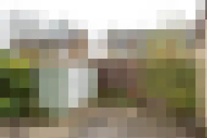 Mr G Schotstraat 10 Franeker thumbnail 23