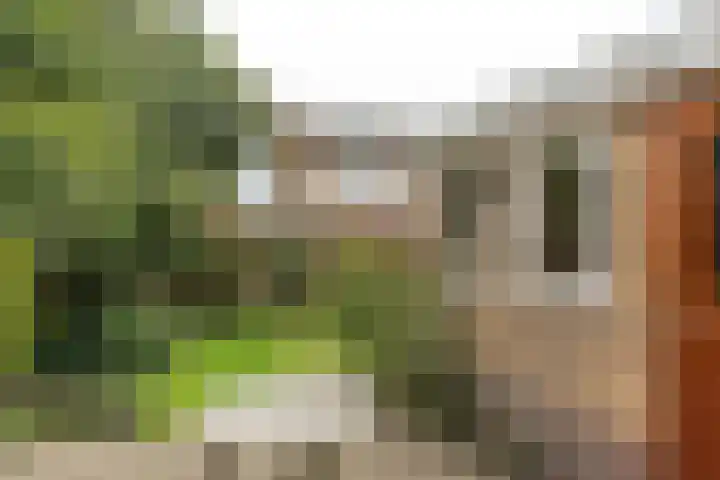 Mr G Schotstraat 2 Franeker thumbnail 31