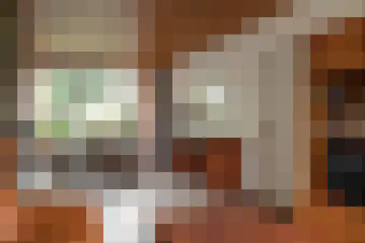 Mr G Schotstraat 2 Franeker thumbnail 8