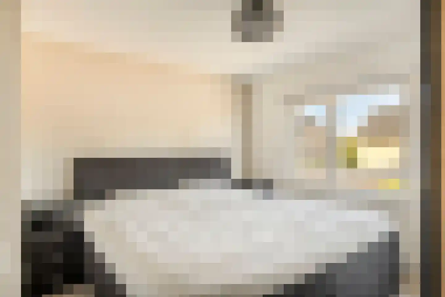 Mr. G. Vixseboxsestraat 21 Holten thumbnail 16