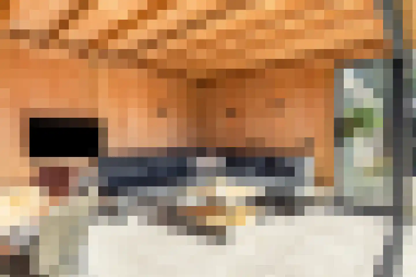 Mr. G. Vixseboxsestraat 21 Holten thumbnail 30