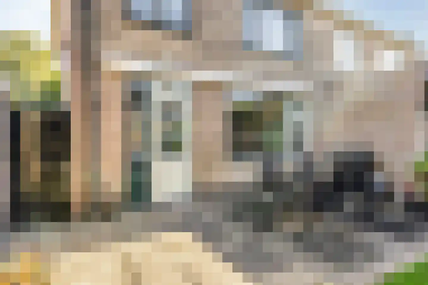 Mr. G. Vixseboxsestraat 21 Holten thumbnail 33