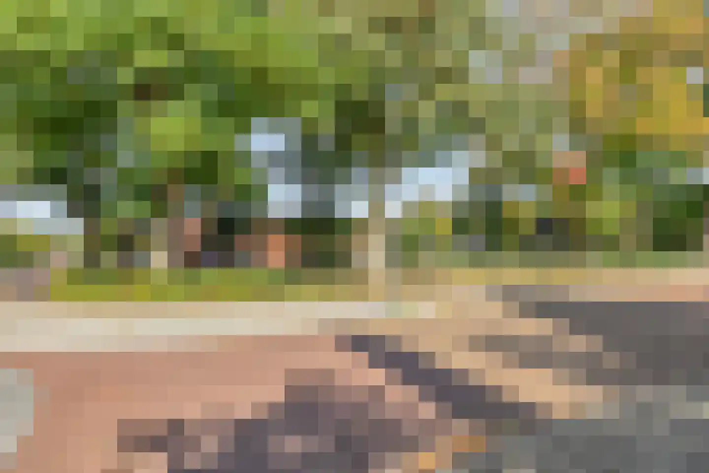 Mr. G. Vixseboxsestraat 21 Holten thumbnail 36