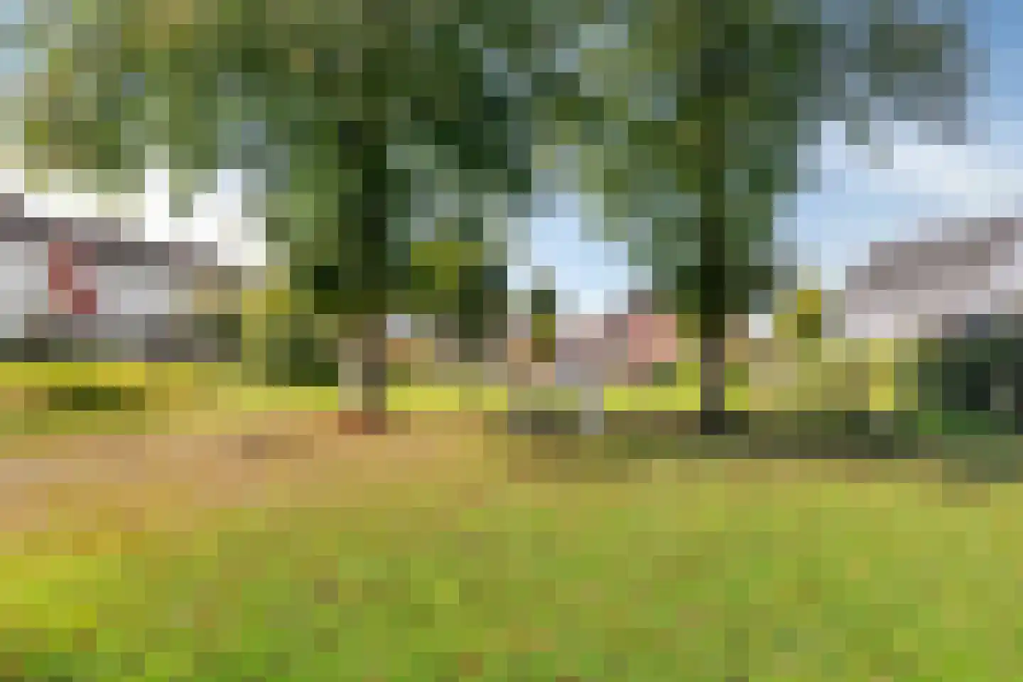 Mr. G. Vixseboxsestraat 21 Holten thumbnail 37