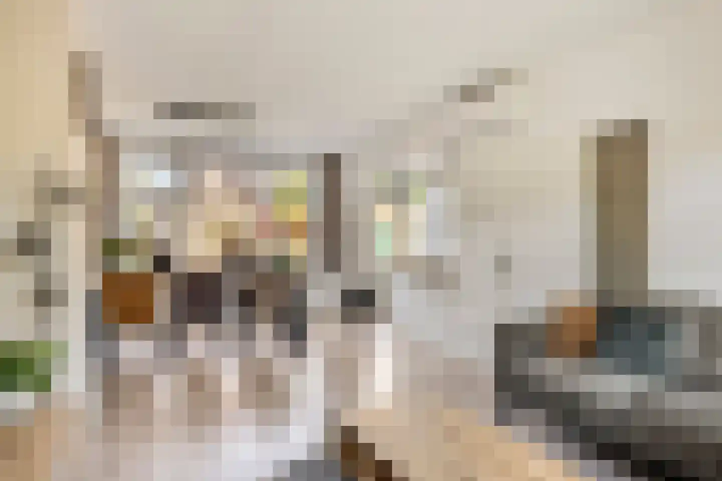 Mr. G. Vixseboxsestraat 21 Holten thumbnail 5