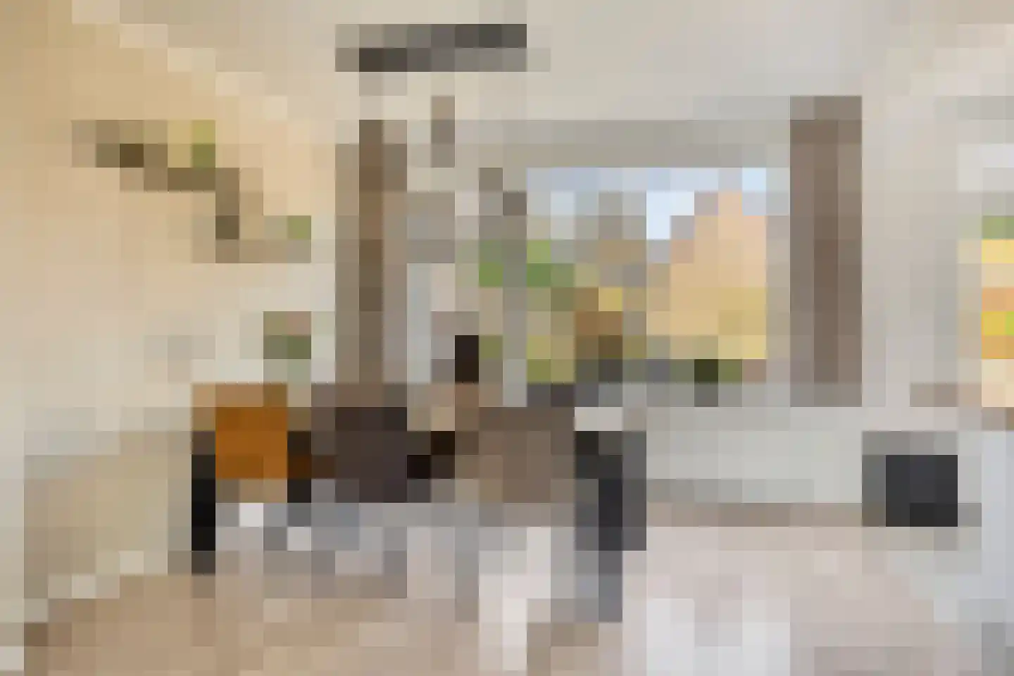 Mr. G. Vixseboxsestraat 21 Holten thumbnail 8