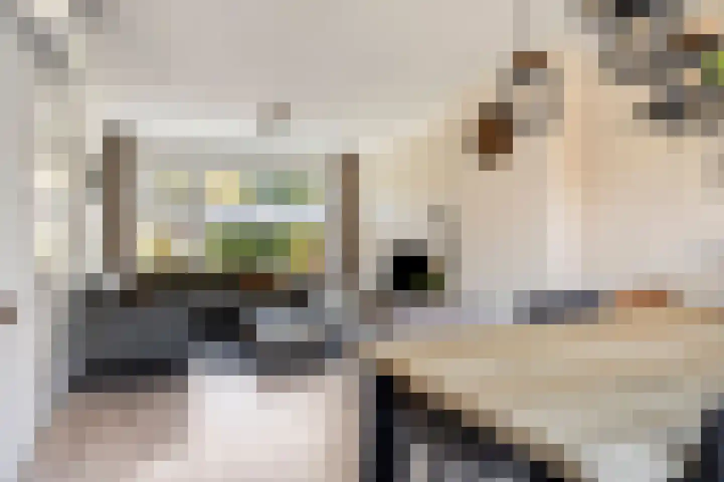 Mr. G. Vixseboxsestraat 21 Holten thumbnail 9