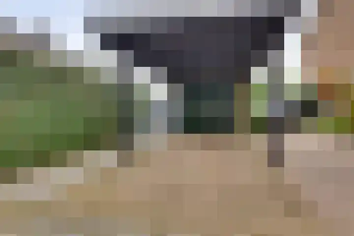 Mr. G. Vixseboxsestraat 29 Holten thumbnail 33