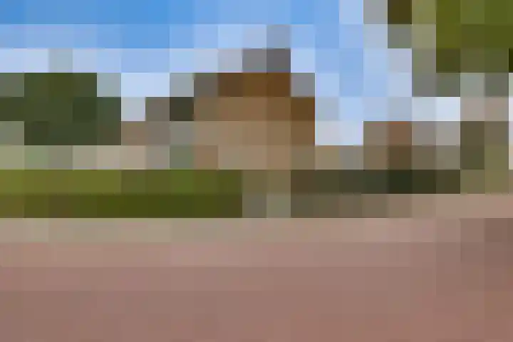 Mr. G. Vixseboxsestraat 29 Holten thumbnail 39