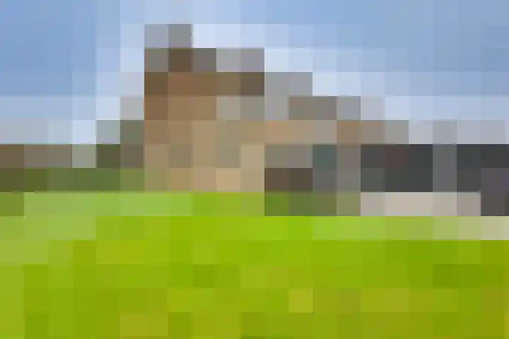 Mr. G. Vixseboxsestraat 29 Holten thumbnail 40
