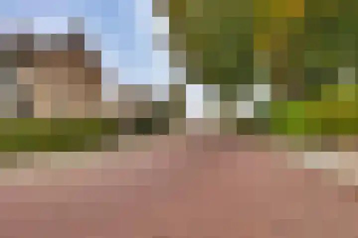 Mr. G. Vixseboxsestraat 29 Holten thumbnail 43